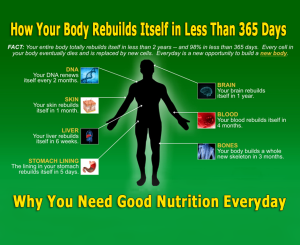 why you need good nutrition everyday certified Halal by INFANCA   for Muslim countries like Malaysia, Indonesia etc