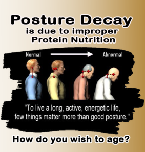 posture decay and the lack of good protein nutrition