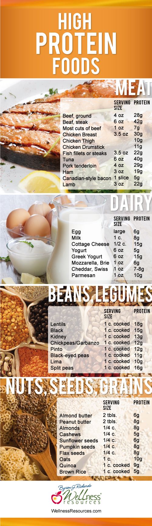 Best High Protein Foods - meats, dairy, beans, legumes, nuts, seeds, grains