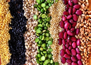 Best High Protein Foods - grains