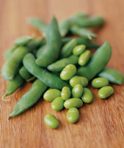 Best High Protein Foods - soy